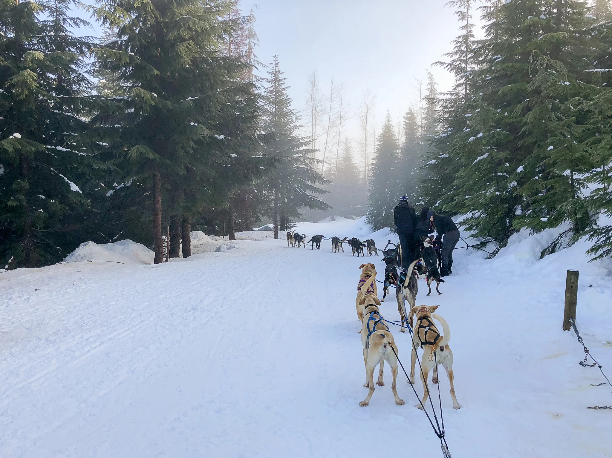 Photo Jan 14, 1 58 03 PM.jpg