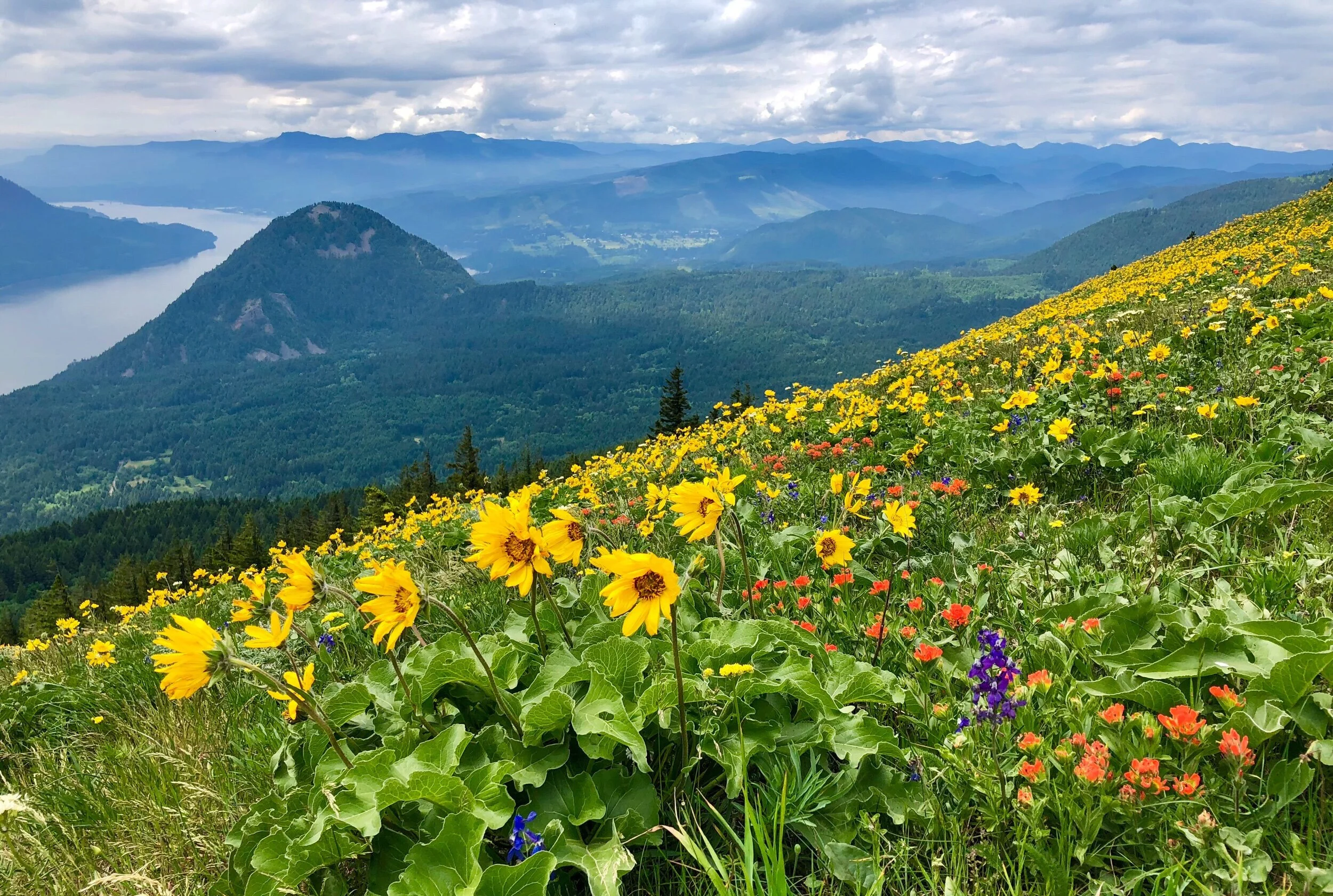  Dog Mountain, Oregon 