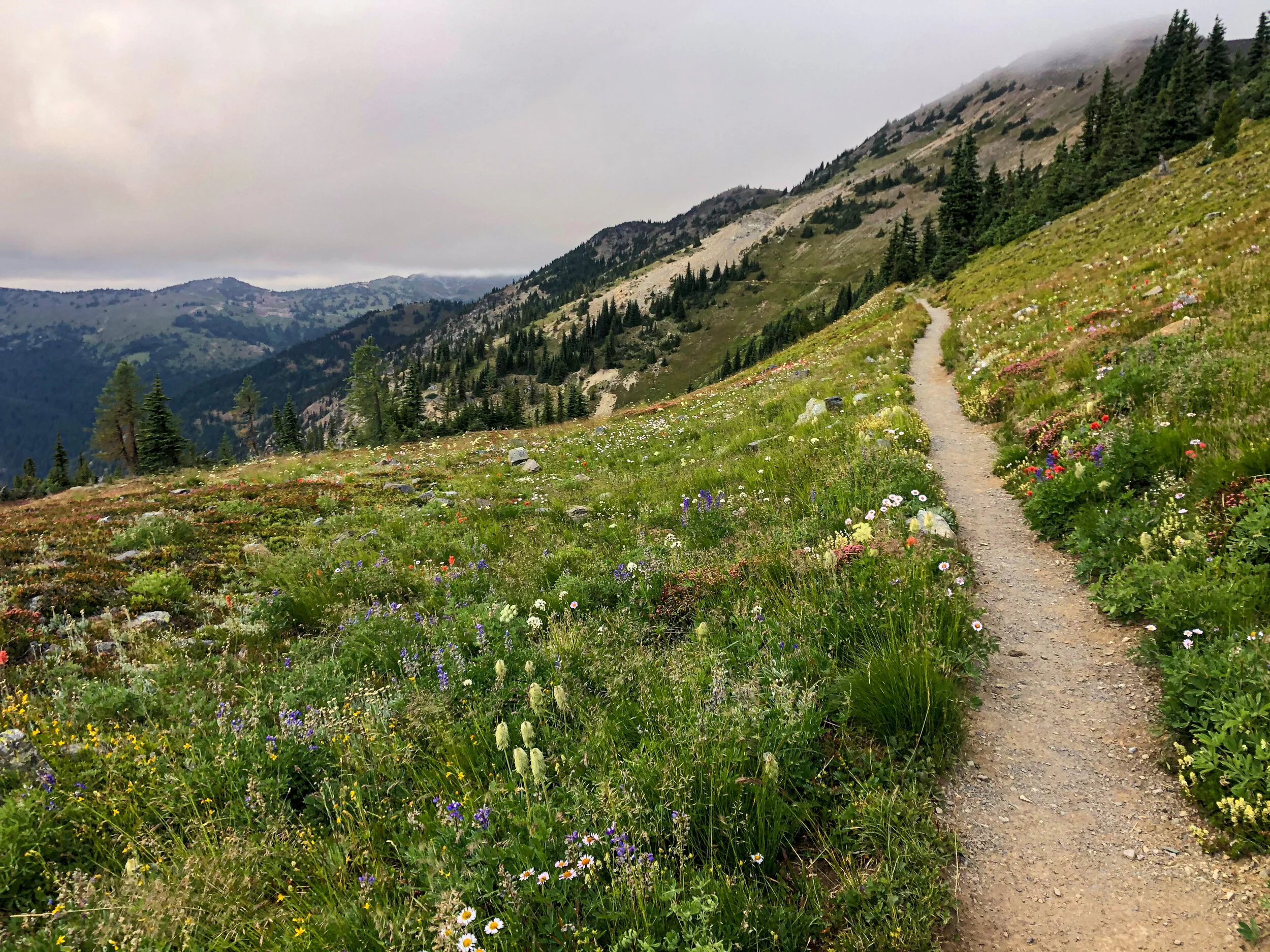  PCT Section L, Washington 