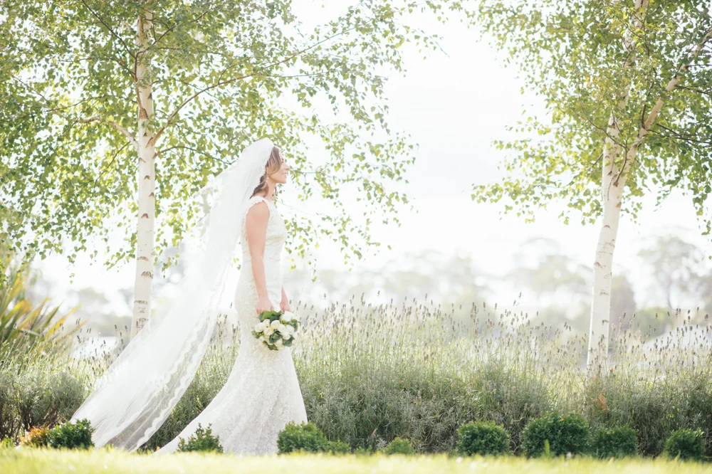 mrmrs-101.jpg