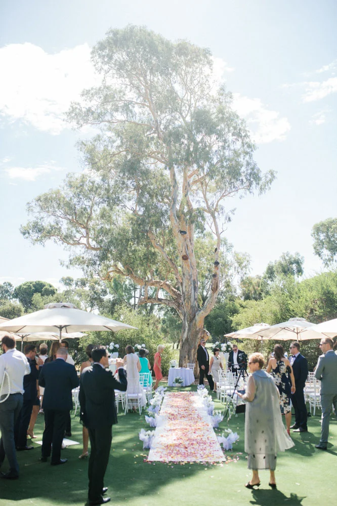 ceremony-tree.jpg