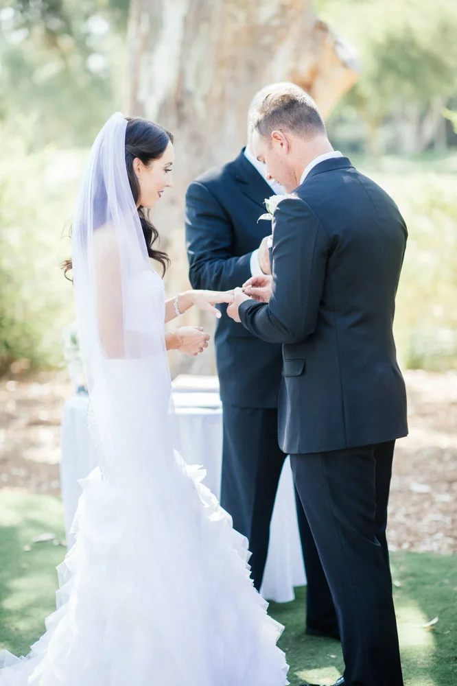 rings-on-fingers.jpg