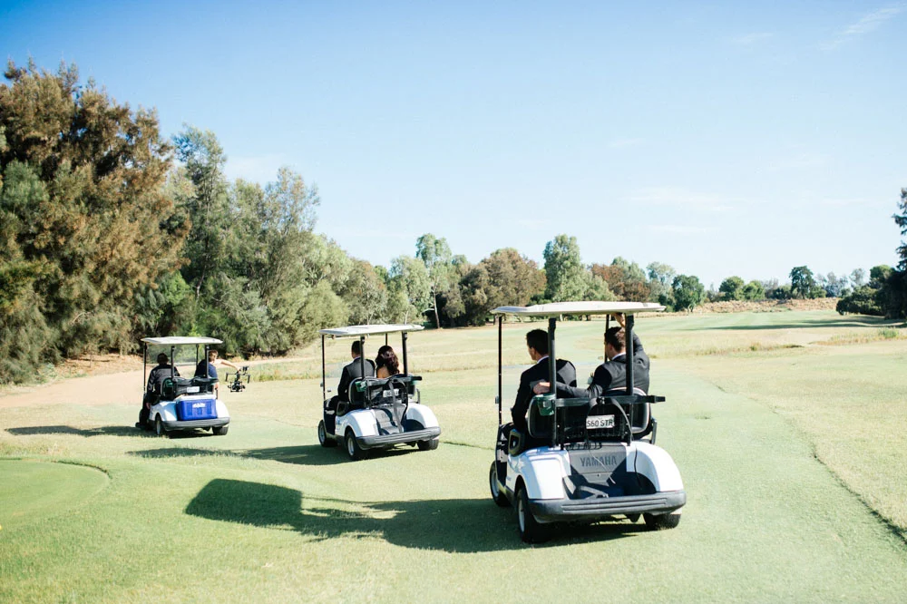 carts.jpg
