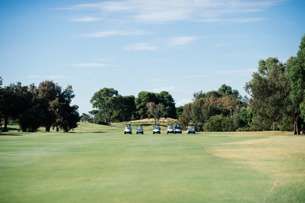 carts-row-1.jpg