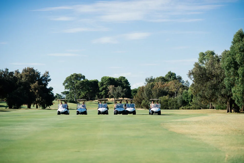 carts-row-2.jpg