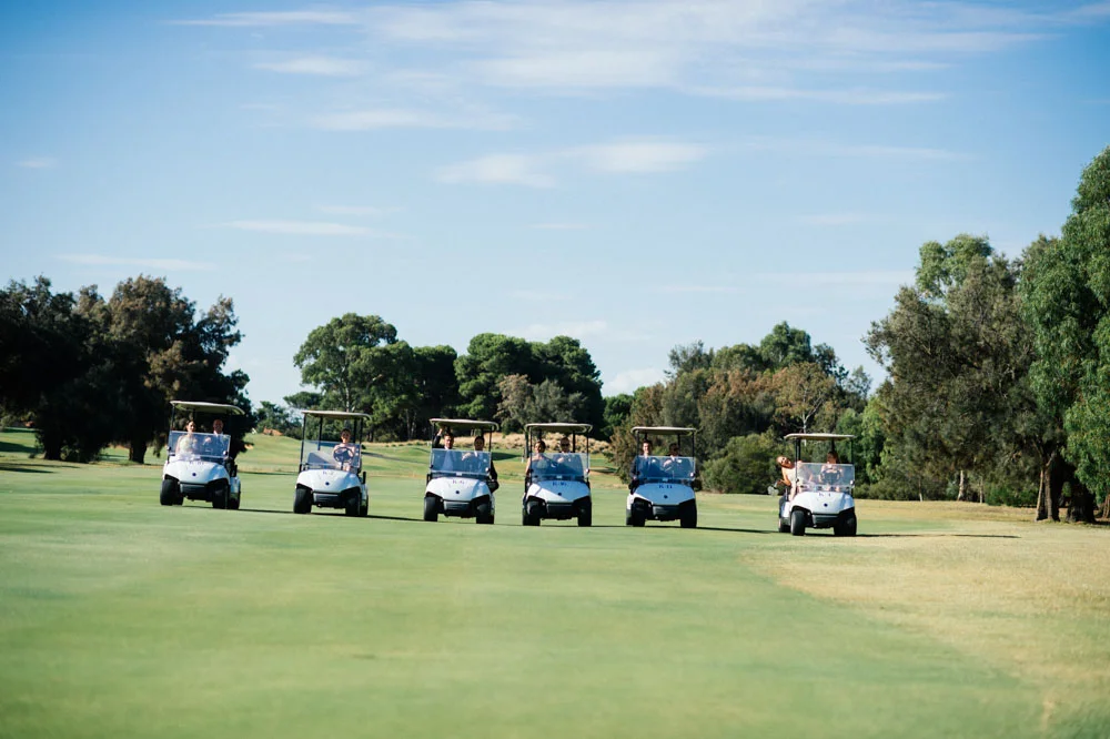 carts-row-3.jpg
