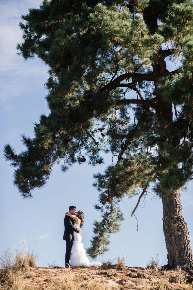 tree-portrait.jpg