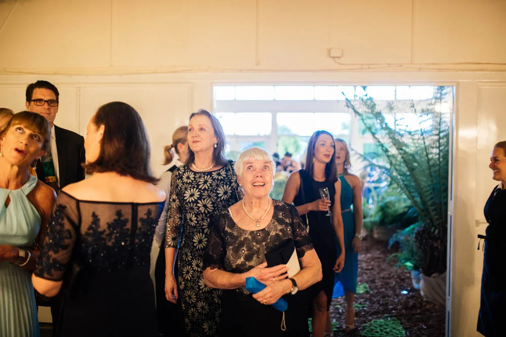 guests-arrive-2.jpg