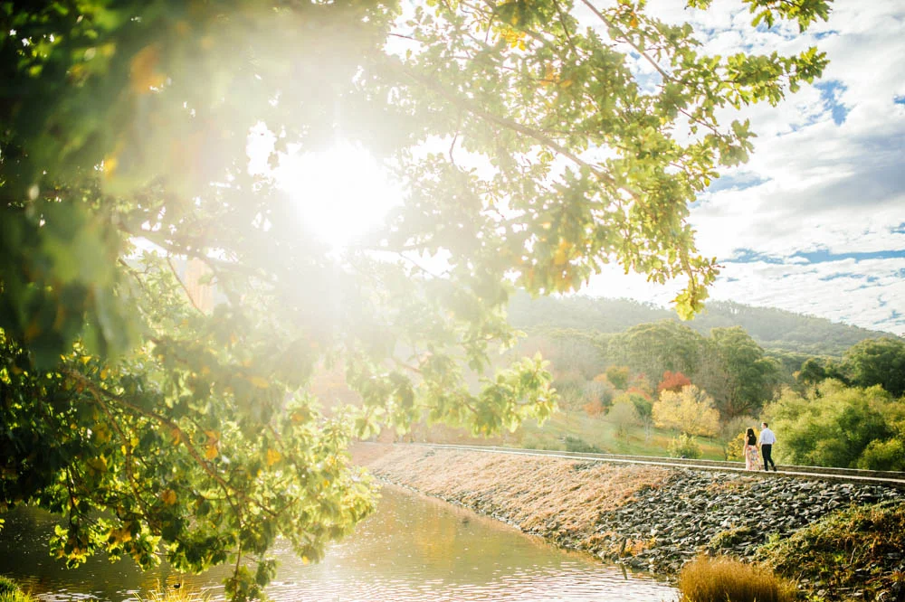 mount-lofty-gardens.jpg