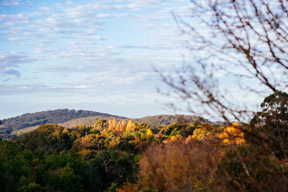 fall-landscape.jpg