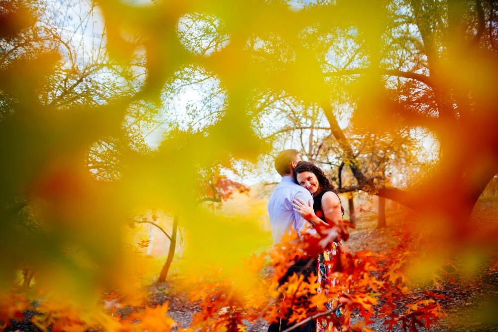 autumn-leaves.jpg