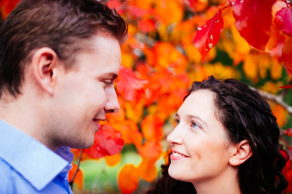 saturated-autumn-leaves.jpg