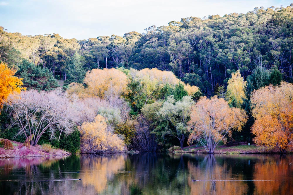 mt-lofty-lake.jpg