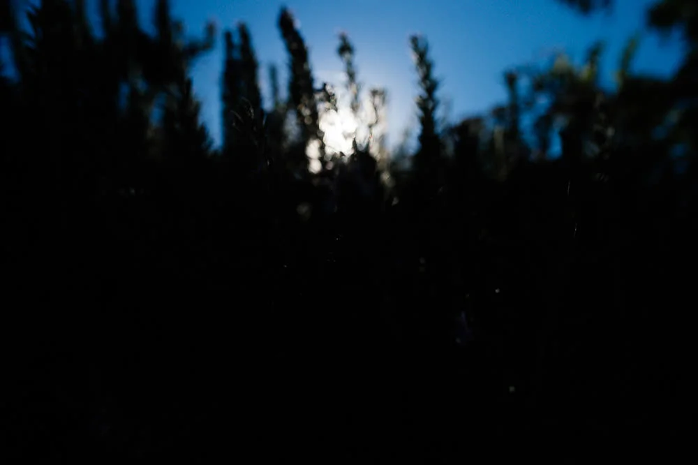 nicholaspurcellstudio-small-145.jpg