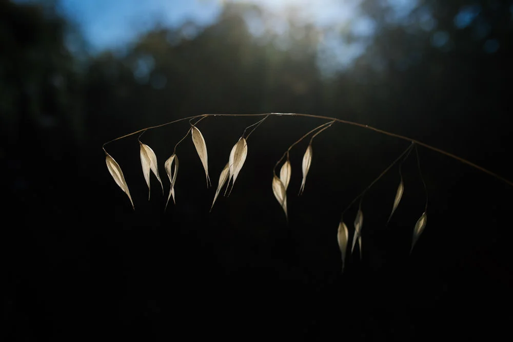nicholaspurcellstudio-small-180.jpg