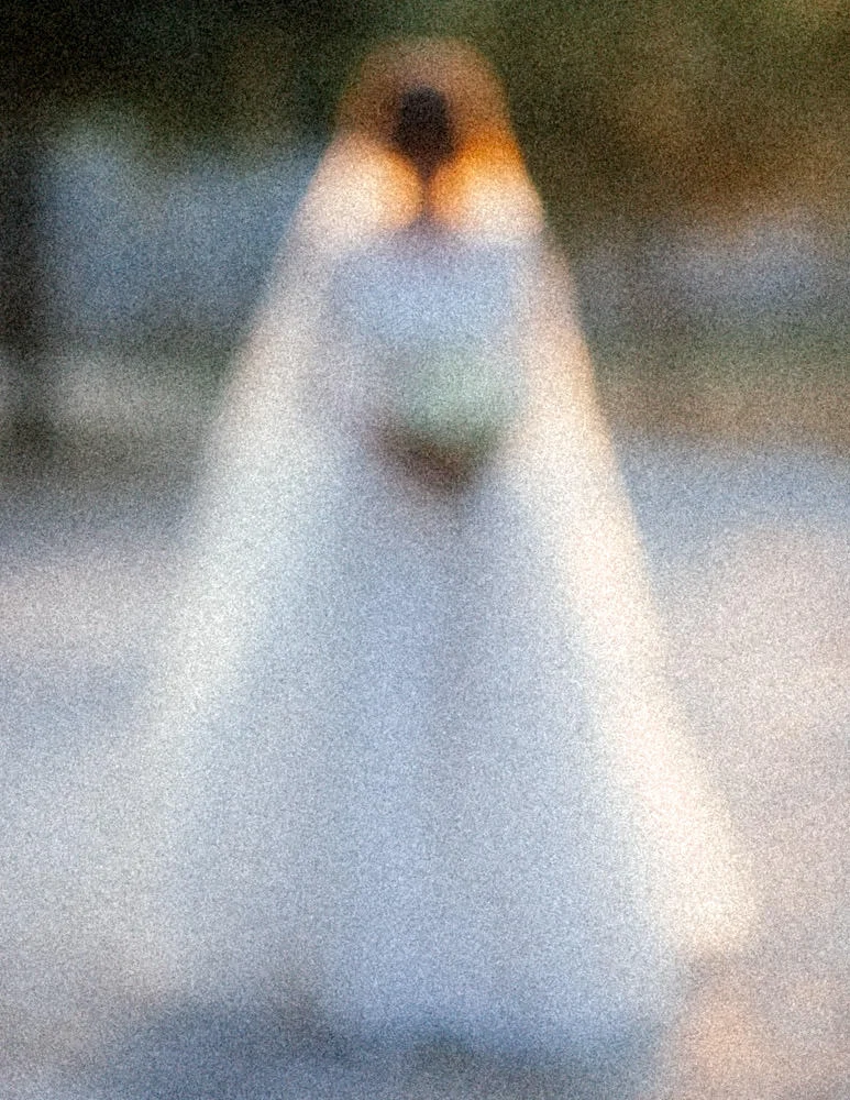 Nicholas Purcell Studio