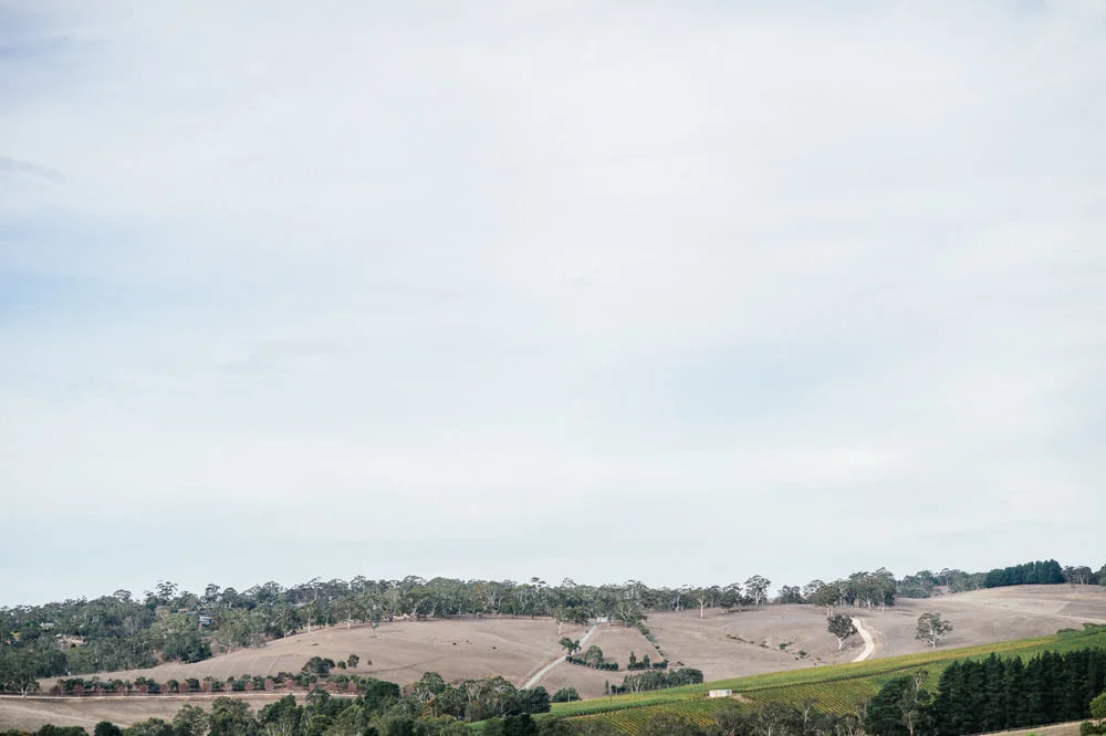 adelaide-hills-wedding-photographers-121.jpg