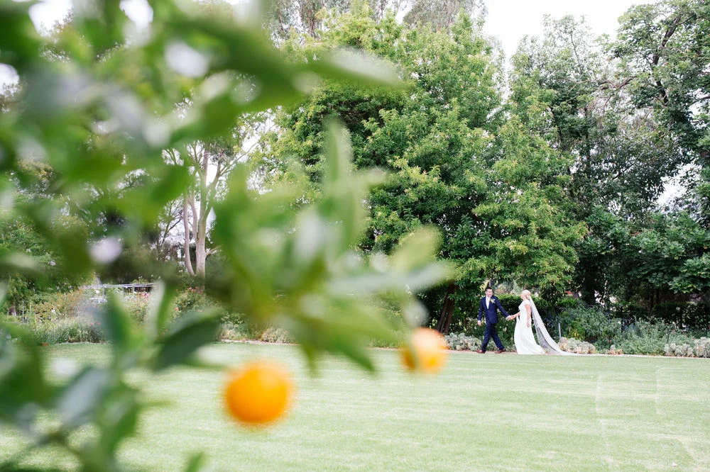adelaide-wedding-photographer-37.jpg