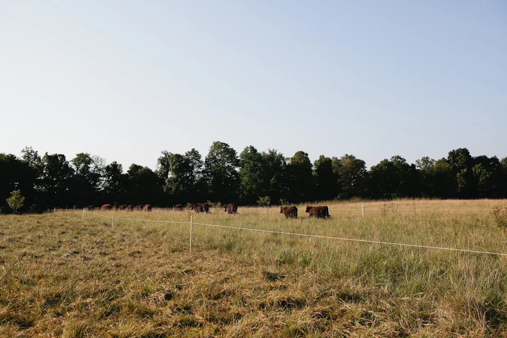 20130906-1617.jpg