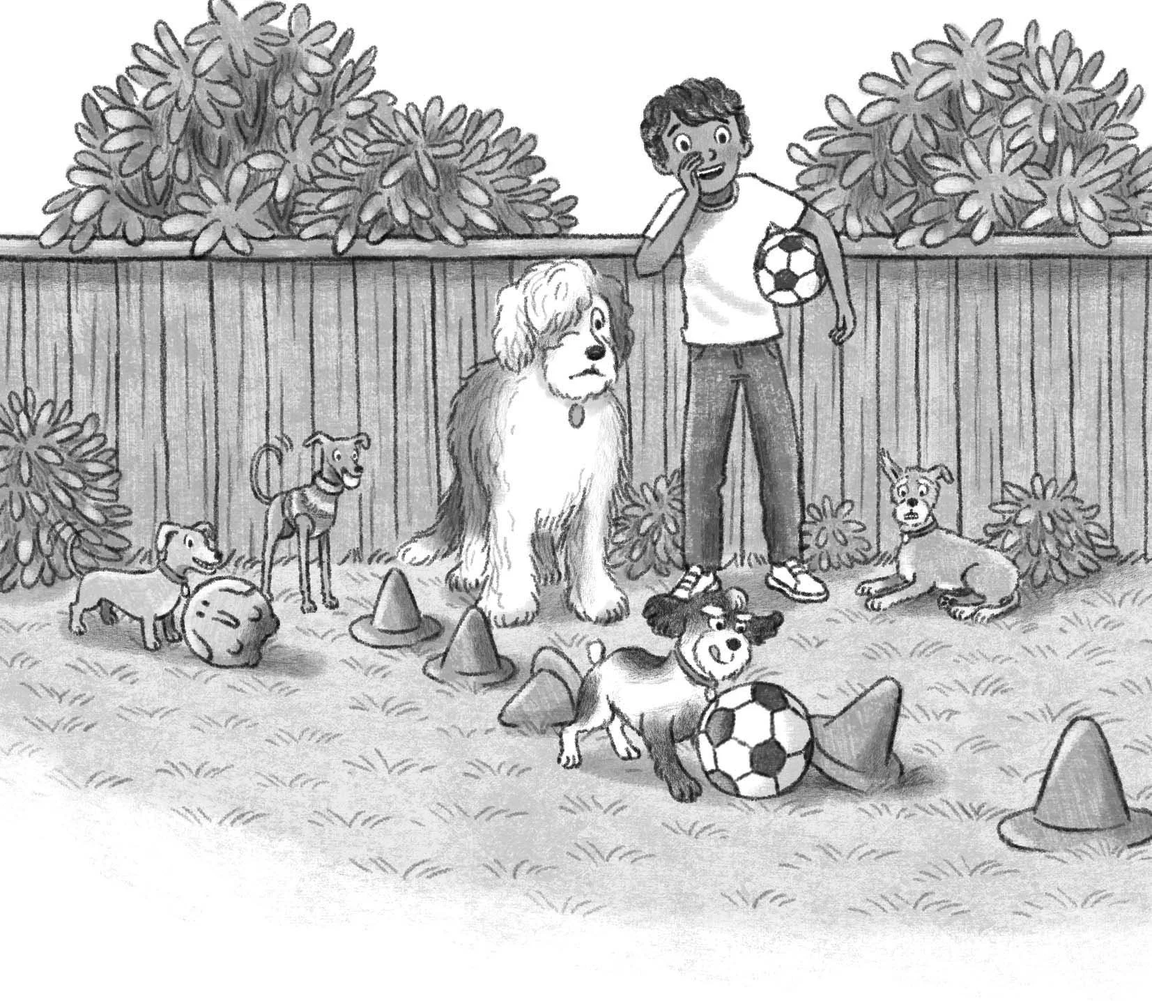 Middle grade illustration boy and dogs friendship
