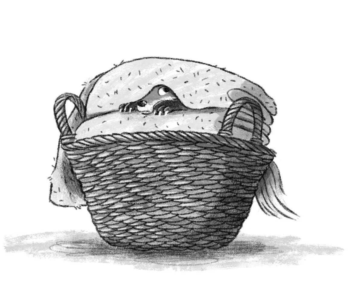Interior black and white illustration of a puppy fox hiding