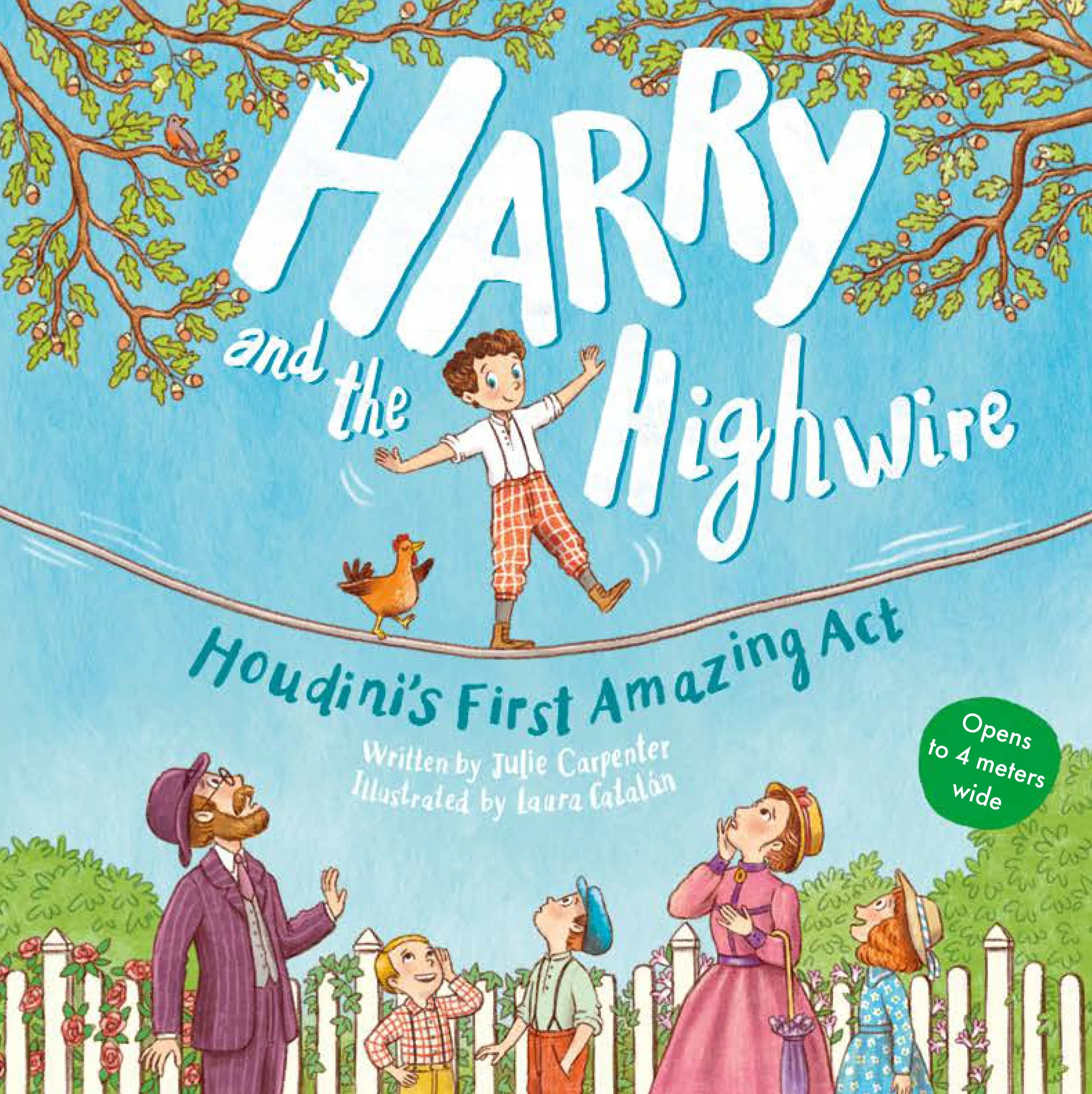 Harry and the High wire