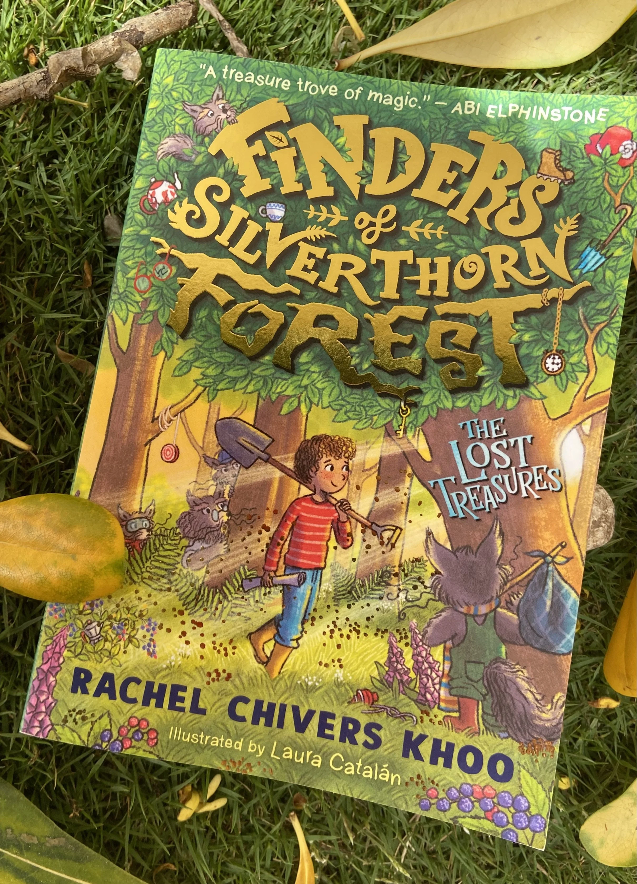 The Finders of Silverthorn Forest