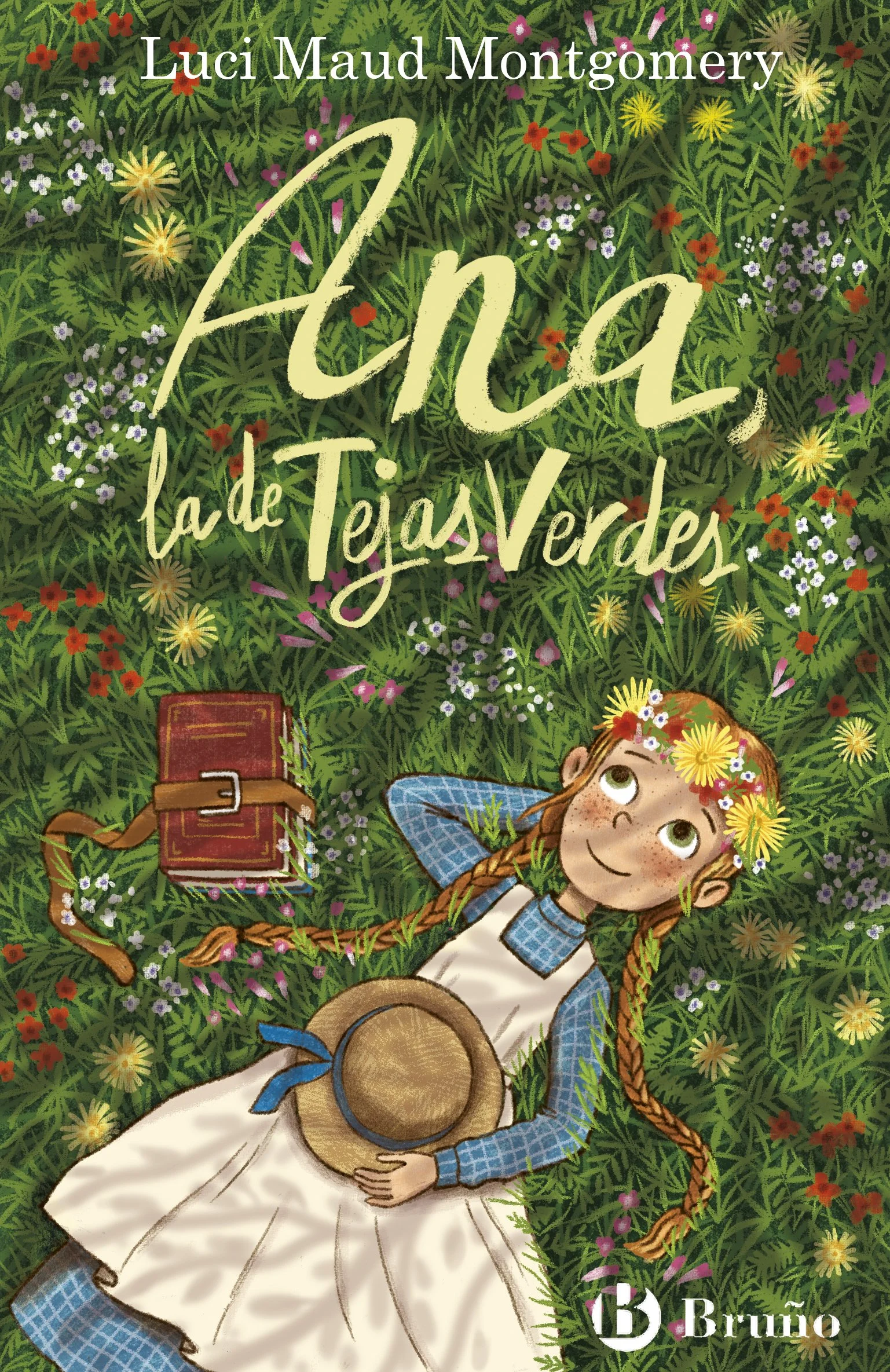 Cover for middle grade illustrated fiction book about Anne of Green Gables