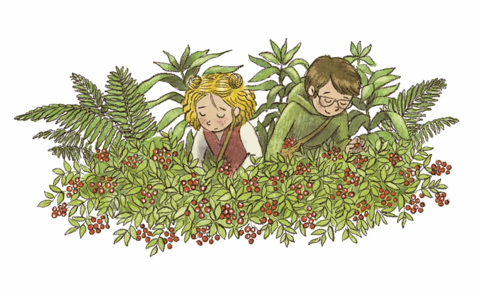 Picture book spot illustration of two siblings picking up berries
