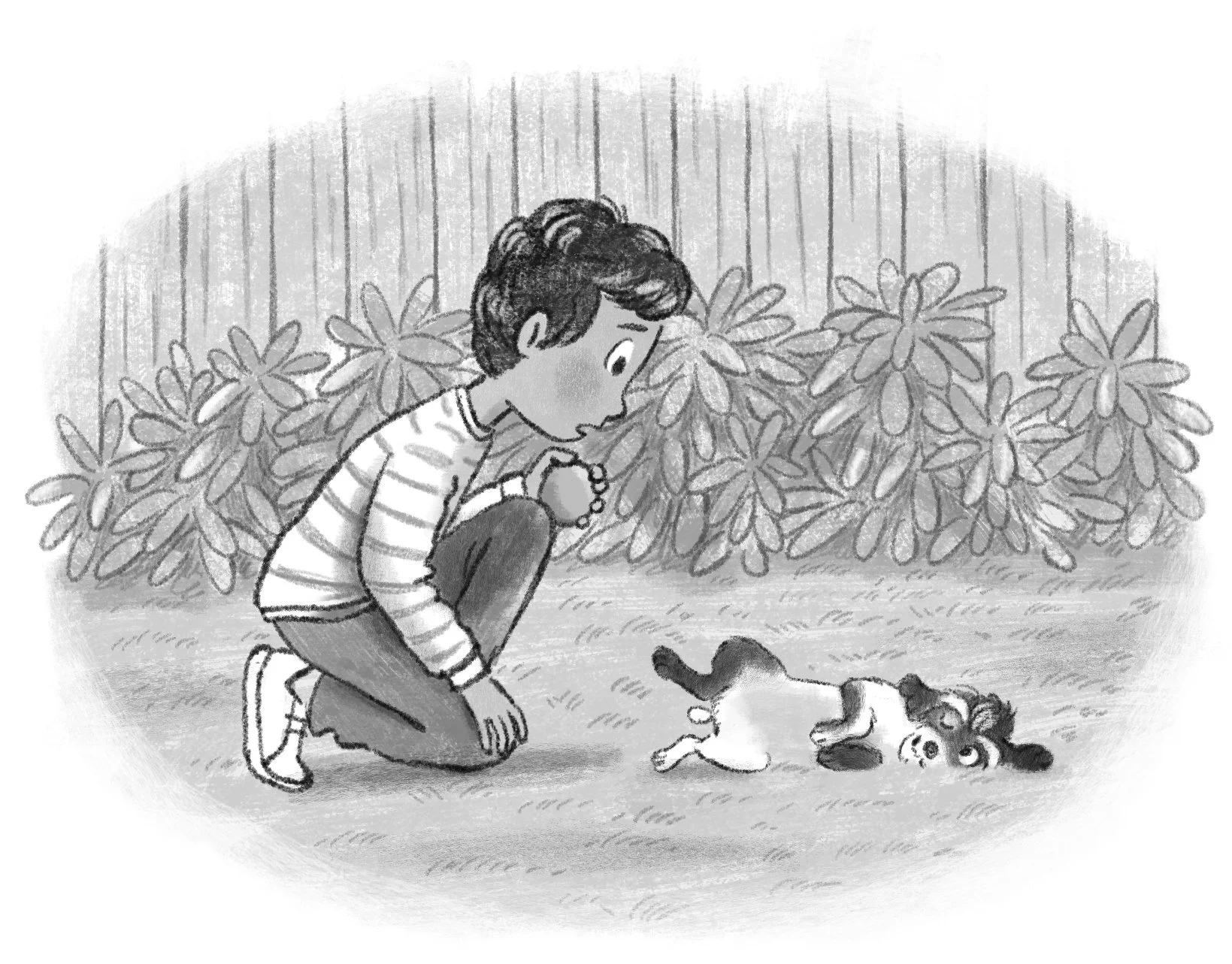 Middle grade book black and white interior illustration boy and pet