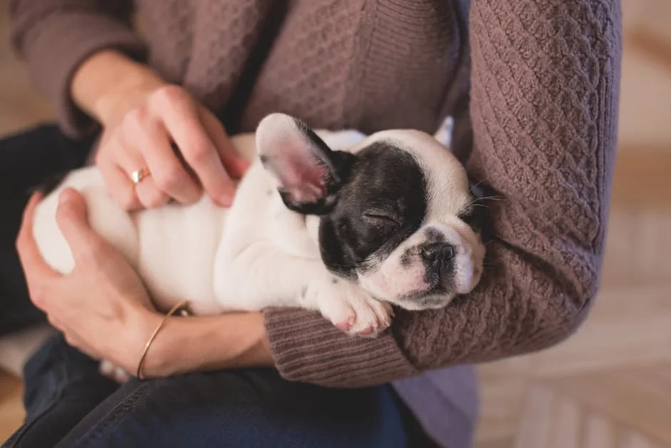 Finals week inspiration: Set up a Pause for Paws event at your school - create your first group and event now to get started.