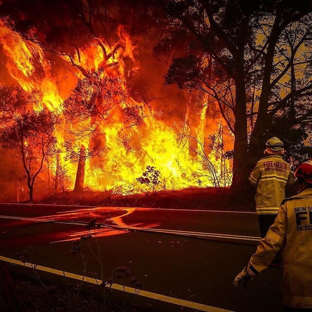 Australia is currently facing one of the most devastating and destructive environmental crises on the planet. So far, more than 24 million acres of Australian land have been burned. It&rsquo;s estimated that 1.25 billion animals, including 8,400 koal