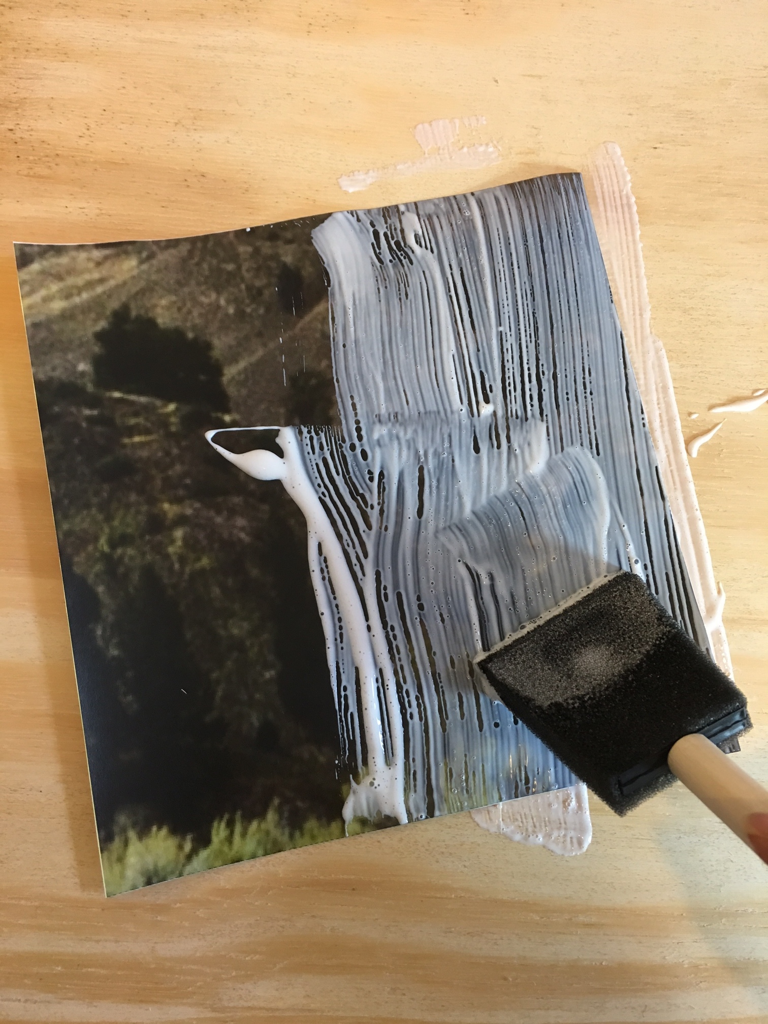 Transfer Images Onto Wood Arts Crafts Ideas