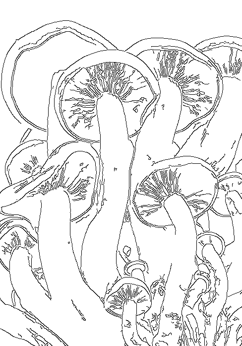 If you would like to use this pattern for your art projects, you can save this image by right clicking.