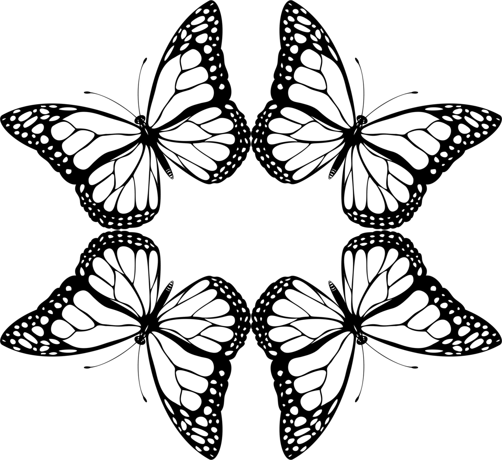 Design-5.png