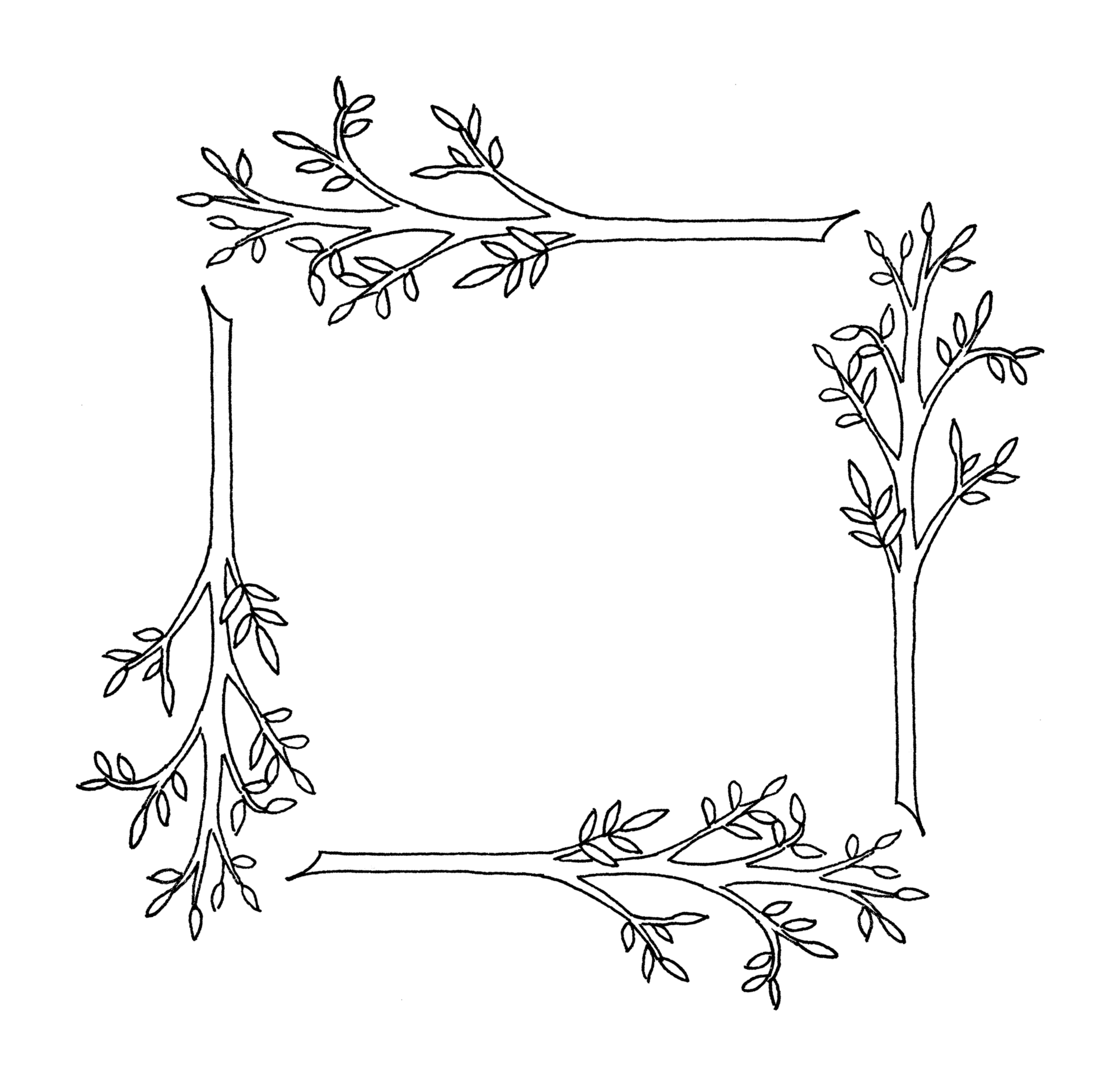 Branchborder.png