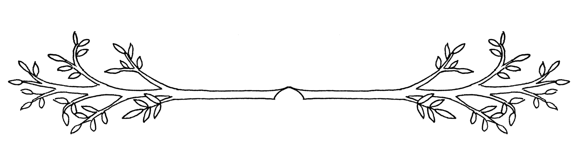 decorativebranch.png
