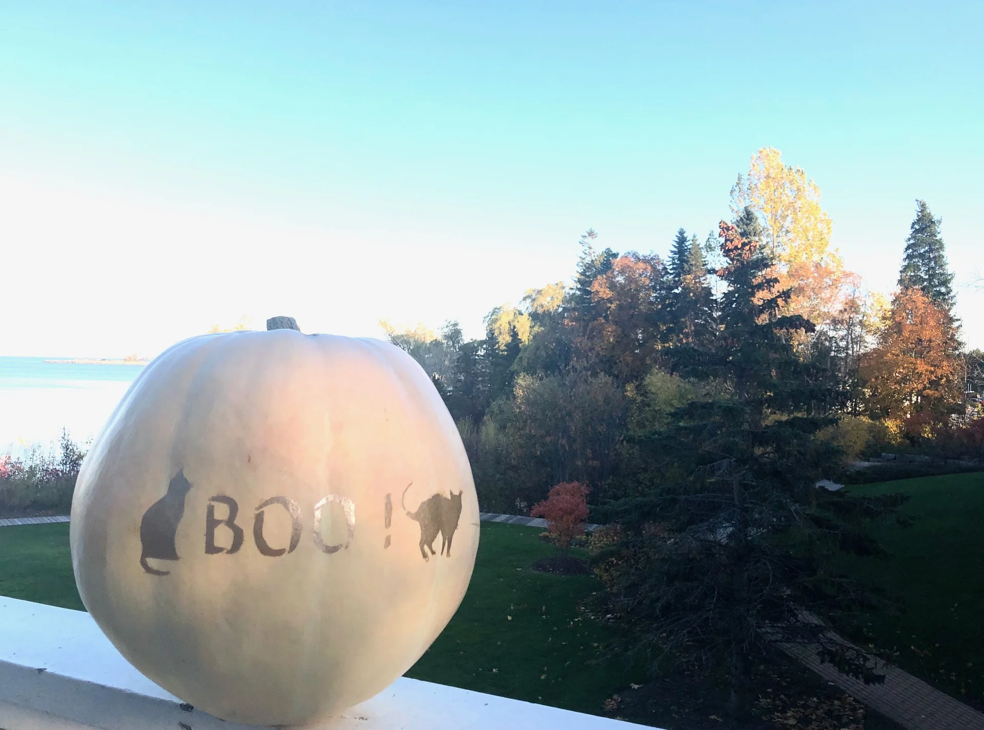 How to Create a Stencil for Pumpkin Painting