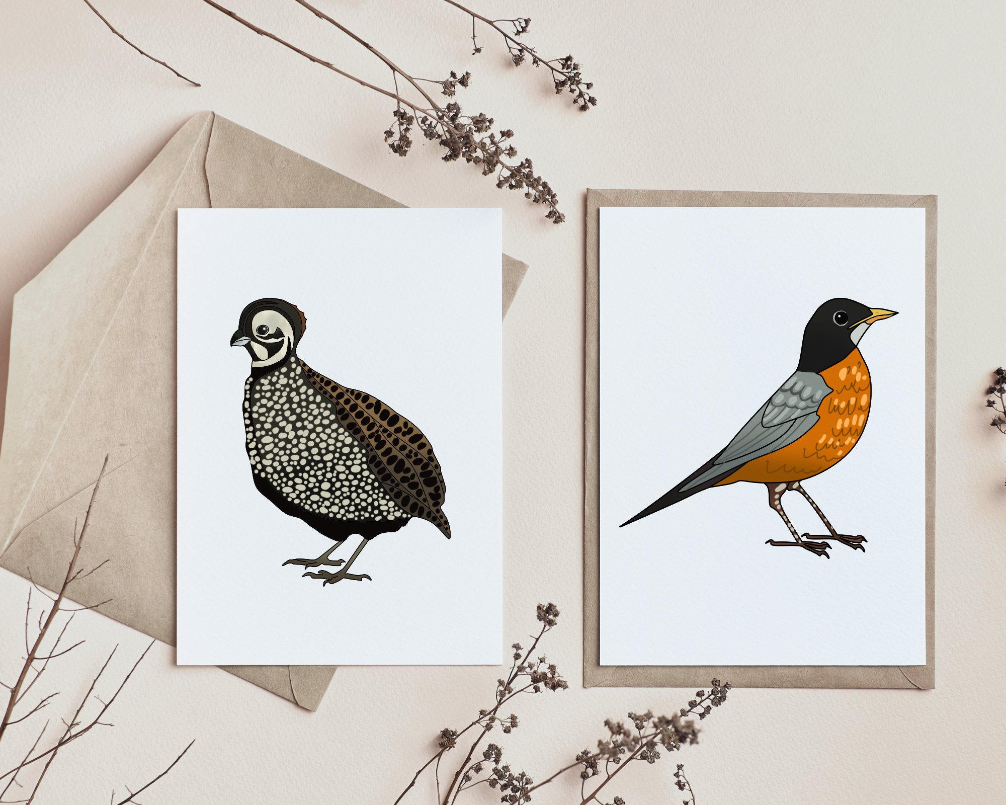 Bird Cards Colour.jpg