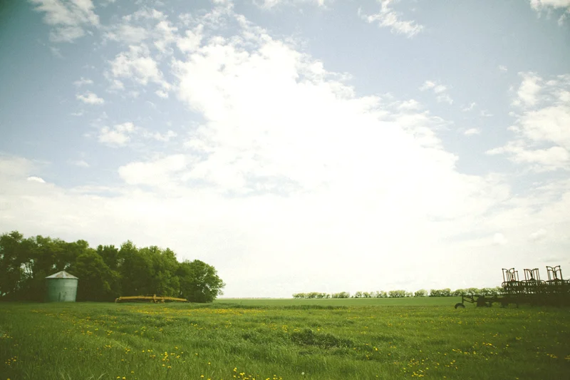 20130607_1007.jpg