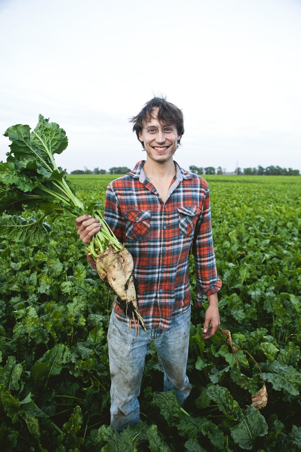 mollyyeh-sugarbeet-2.jpg