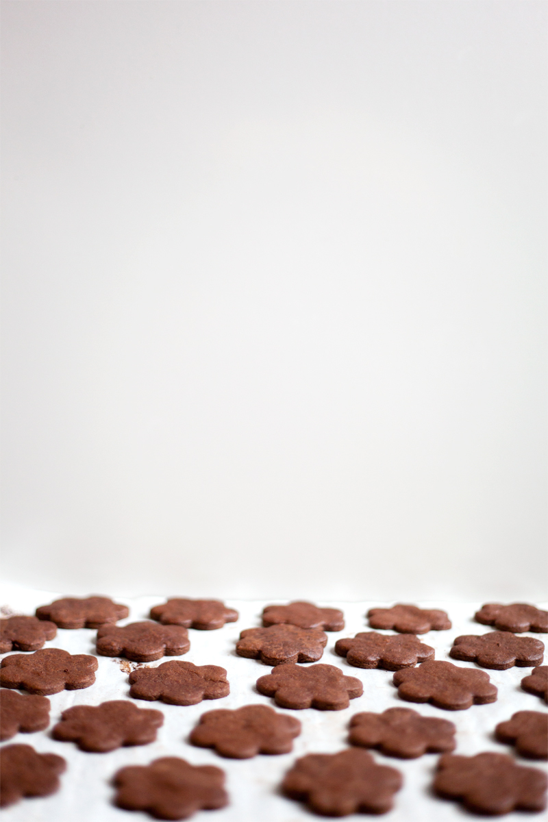 chocolate-cookies-4.jpg