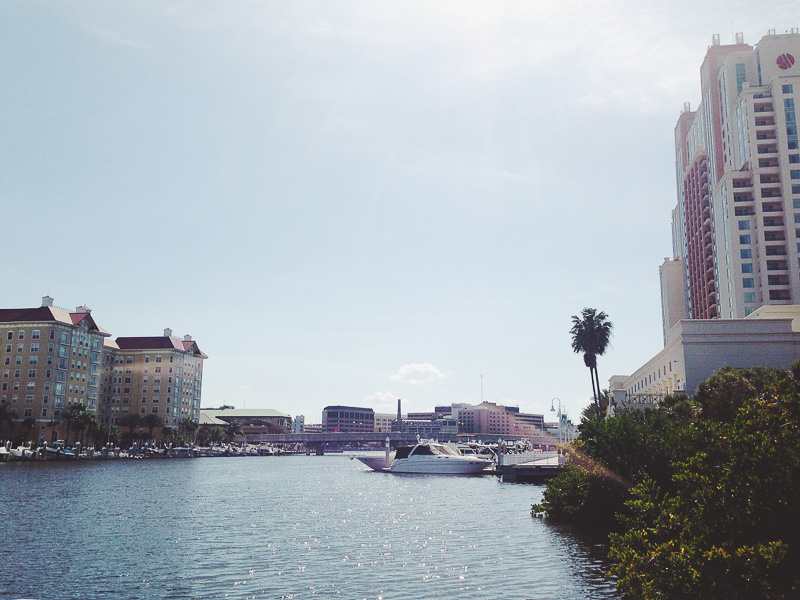 florida-4.jpg