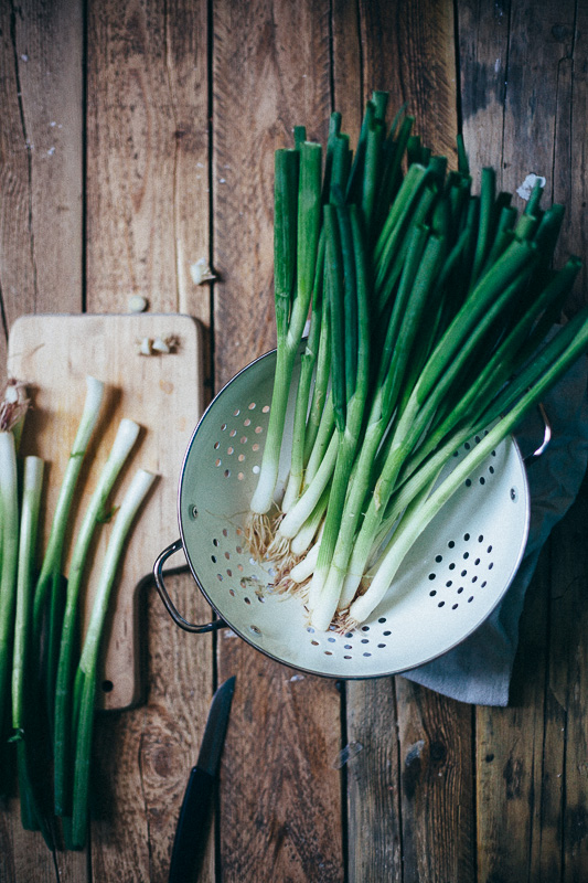 grilled-green-onions-romesco-11.jpg