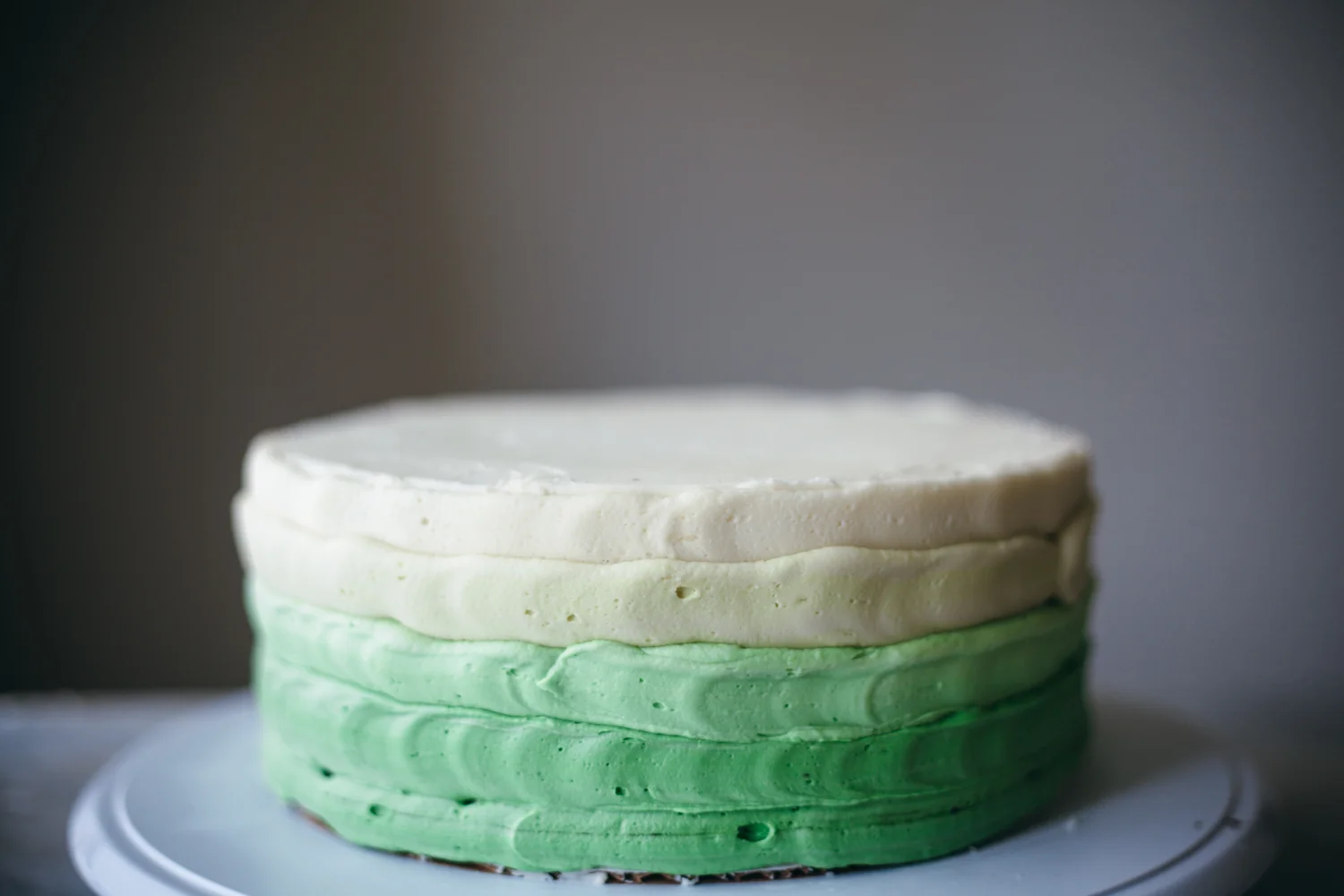 chocolate mint cake with mint buttercream frosting — molly yeh