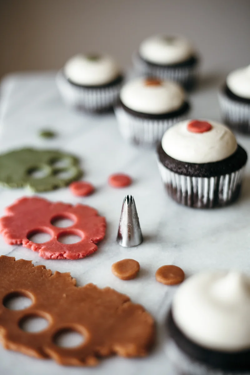 chocolate cupcakes with baileys cream cheese frosting — molly yeh