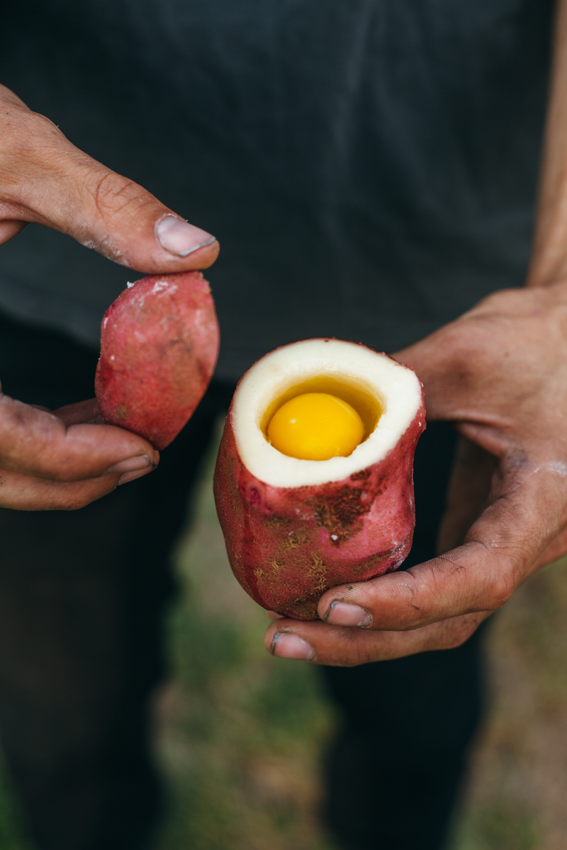 bonfire eggs-7.jpg