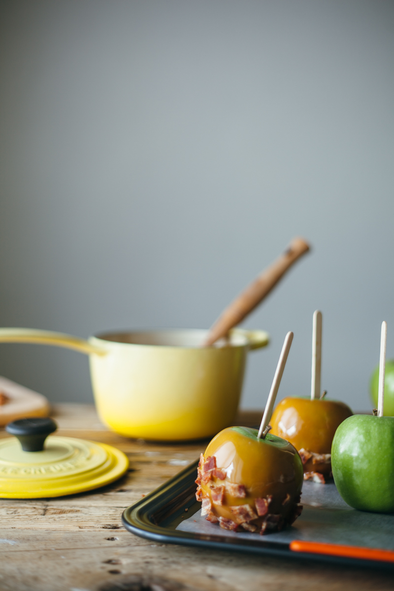 Slice and Bake Fall Cookie Recipes