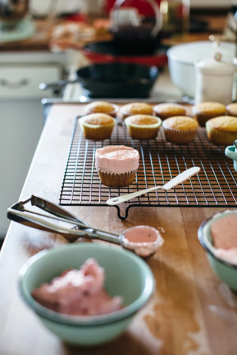 olive oil cupcakes with berry buttercream — molly yeh