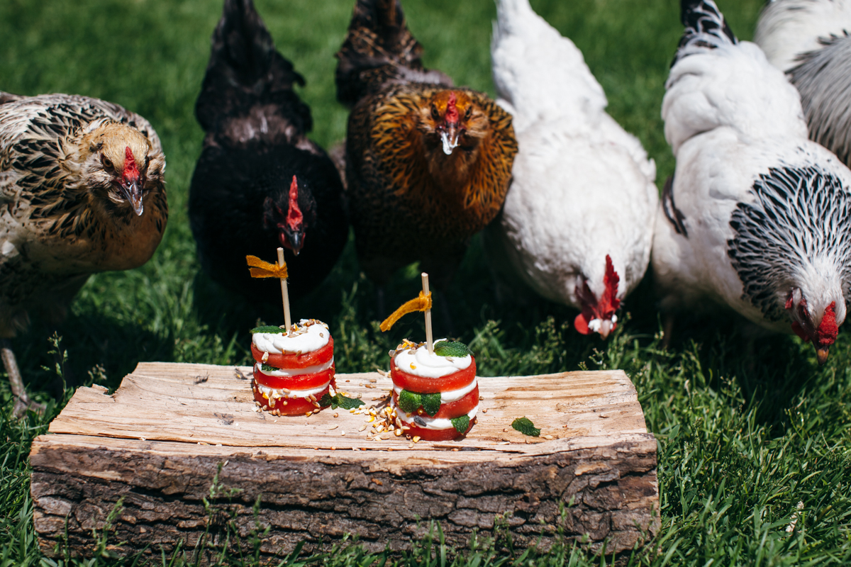 watermelon cakes-15.jpg